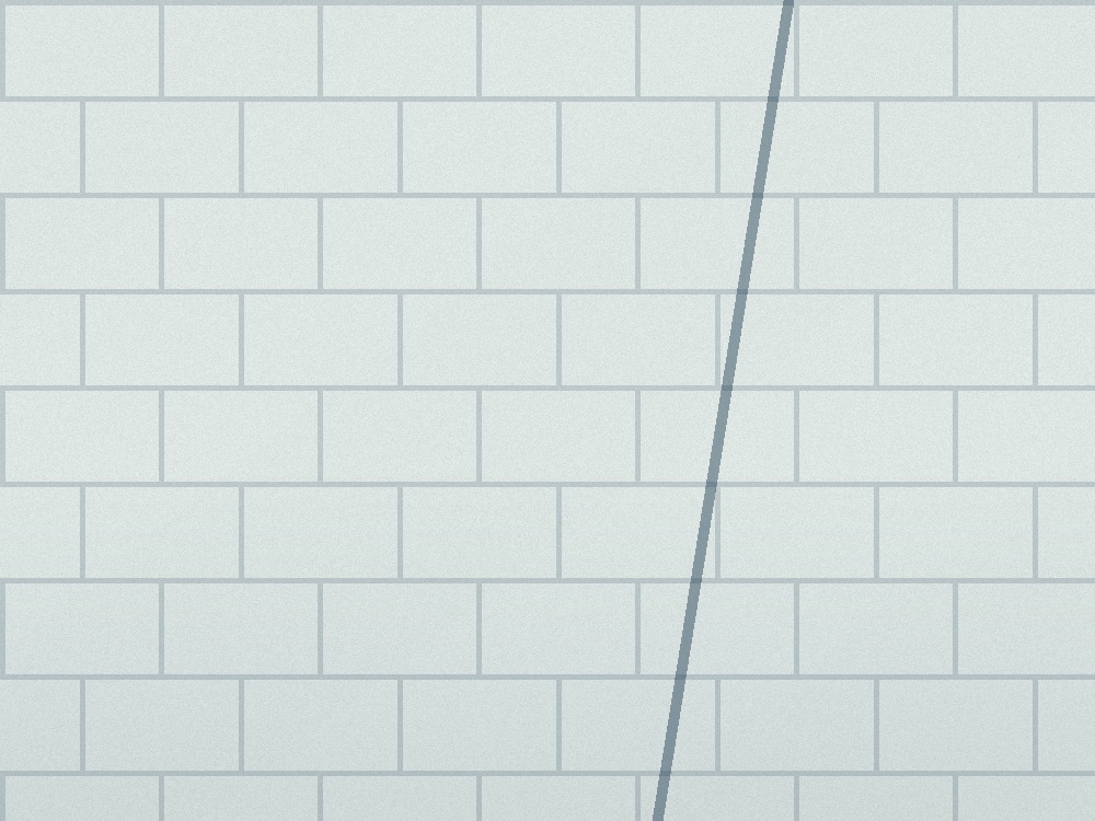 Shower tile installation inspiration for a Florida bathroom