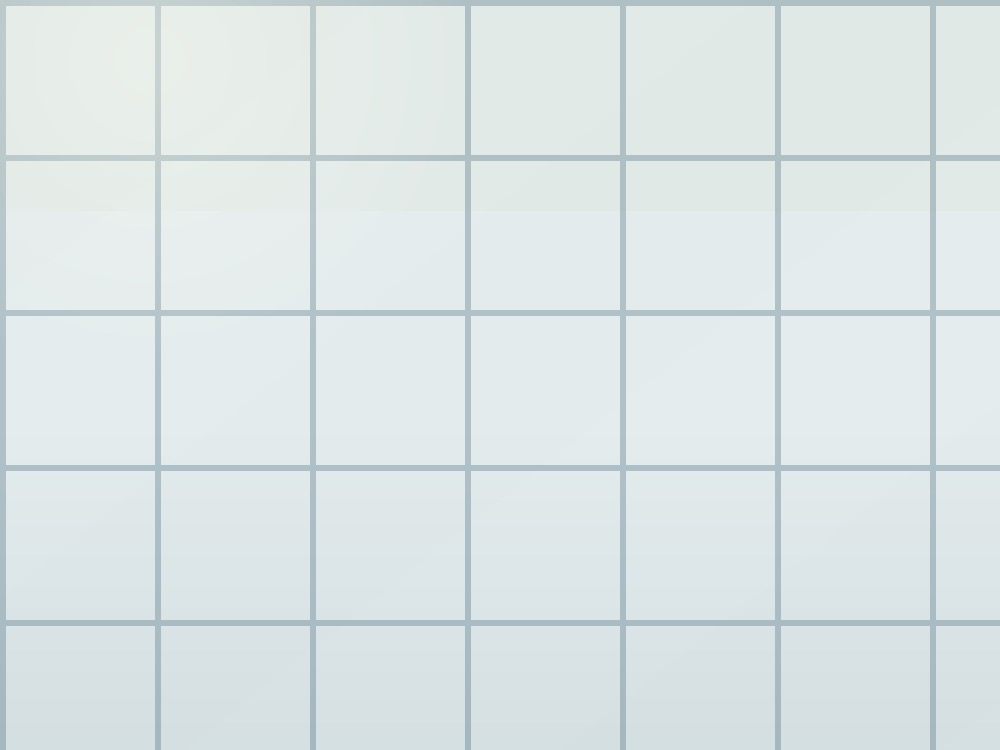 Lanai and outdoor tile surface for coastal Florida living
